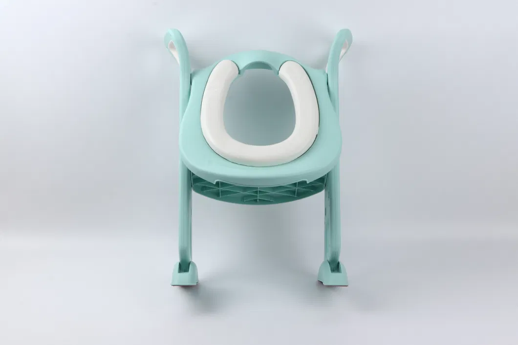 Children Toilet Potty Seat with Toilet Training Ladder